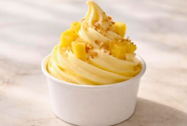 Hawaiian Bros Dole Whip Recipe